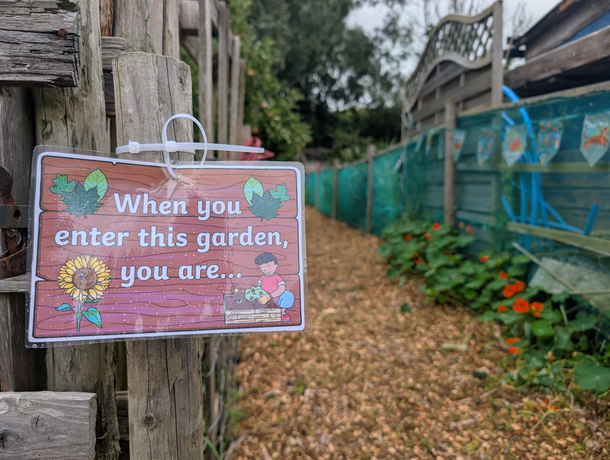 DIG IN! Penparcau Garden Welcomes Visitors for a Special Open Day